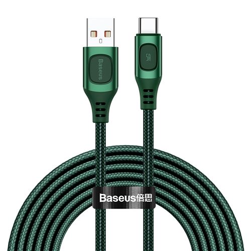 Câble BASEUS CATSS-B06 USB vers Type-C carrée DC 5A 2m argent Green