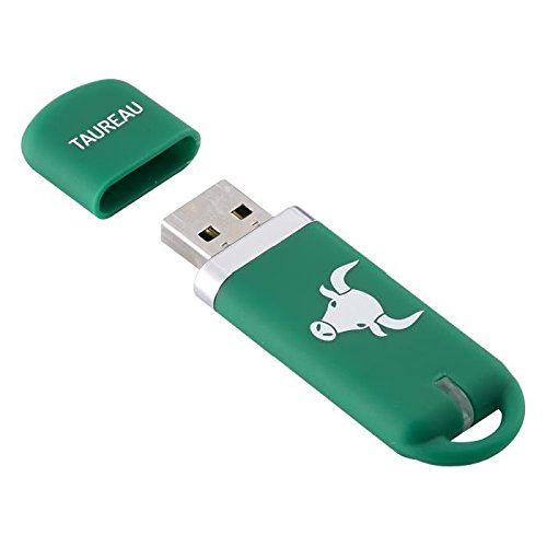 Keyouest Signe du zodiaque TAUREAU Clé USB 16 Go