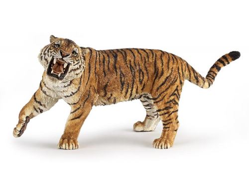 Tigre rugissant