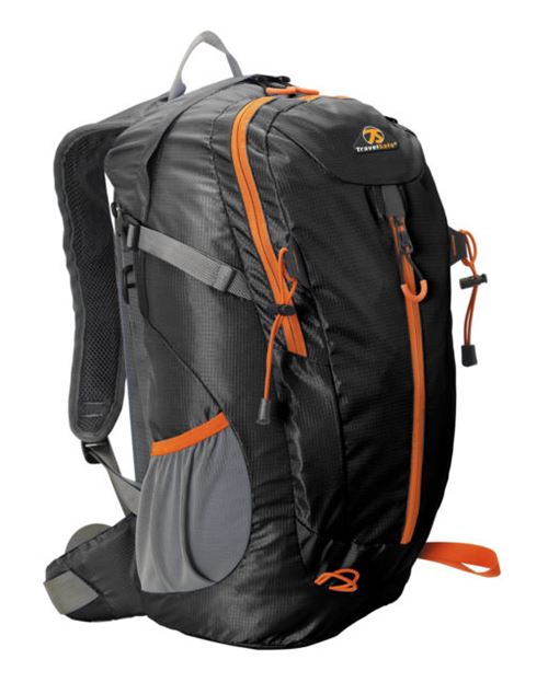 Travelsafe Sac à dos Daypack Summit 25 L Noir TS2211