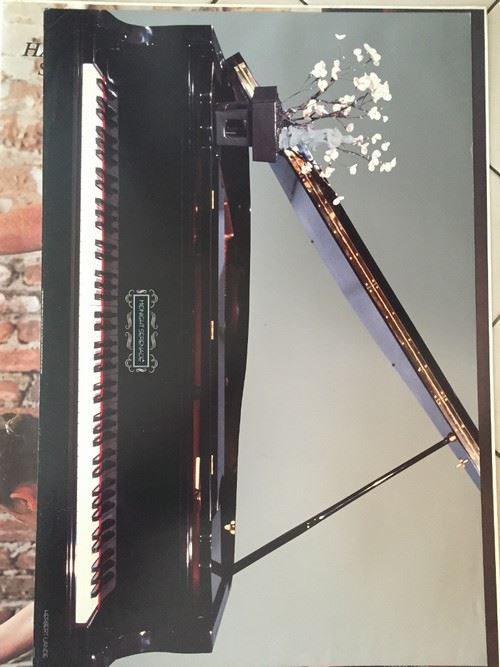Midnight Serenade - 61x91 cm - AFFICHE / POSTER