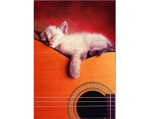 Puzzle 500 Pièces : Ma guitare, Educa