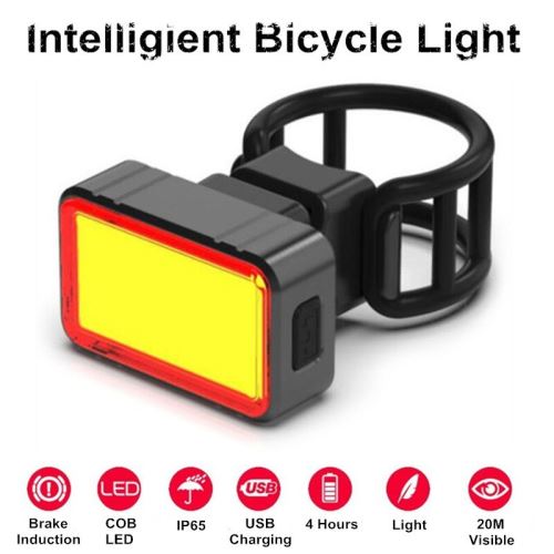 100LM étanche USB rechargeable intelligent induction frein vélo lumière queue lumière vélo équitation feu arrière