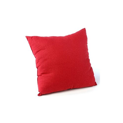 Coussin déhoussable - 38 x 38 cm - Coton et polyester - Rouge