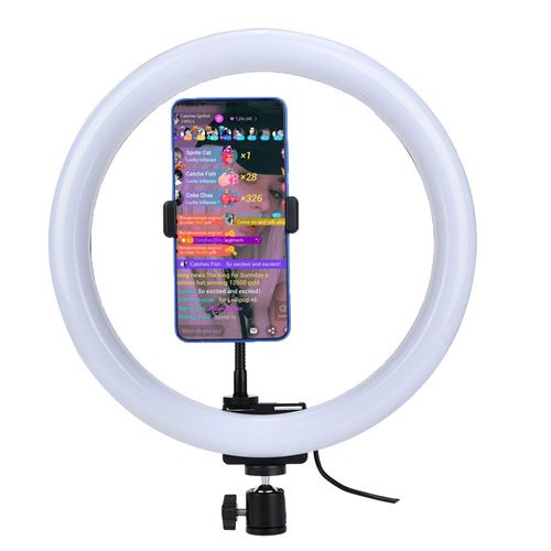 Lampe loupe TPD668 12W 12'' 160 LED Dimmable 3200K-5600K pour maquillage avec clip