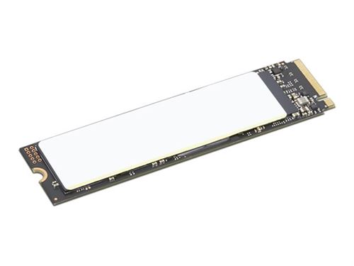 Lenovo SSD 1 To chiffré PCIe 4.0
