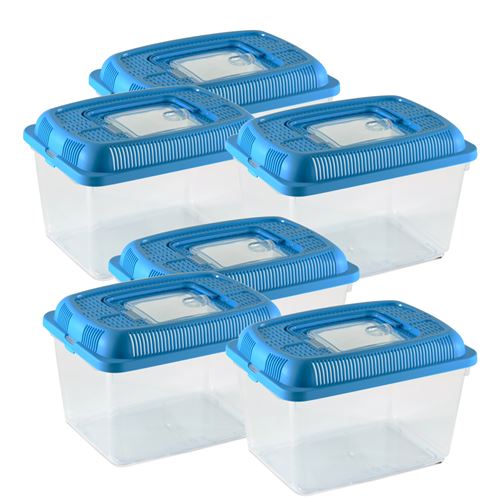 Lot 6 aquarium pour poissons,conteneur pour petits animaux,boîte rectangulaire de transport,terrarium en plastique transparent avec couvercle bleu-Longueur 24 x Profondeur 17 x Hauteur 16 cm- JUANIO -
