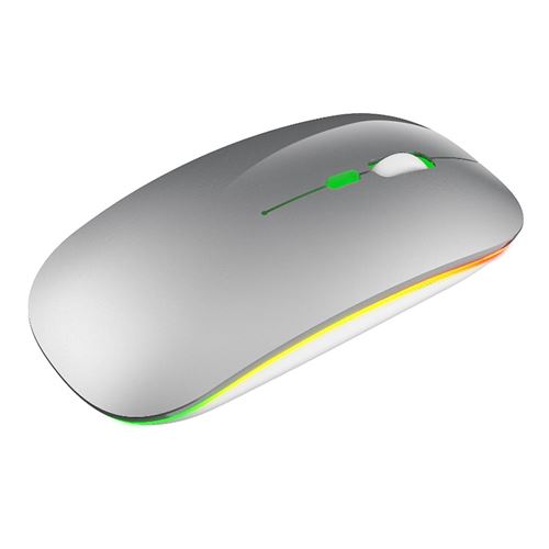 Souris sans Fil Rechargeable pour Windows/XP/Vista/Me 2.4G Argent