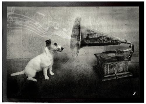 Chiens Paillasson Essuie-Pieds - His Master's Voice, Jack Russell Terrier (50x70 cm)
