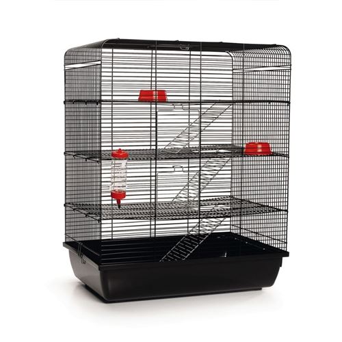 Meilleurs prix pour Beeztees Cage à rat Remy Noir 58 x 38 x 71 cm 266815