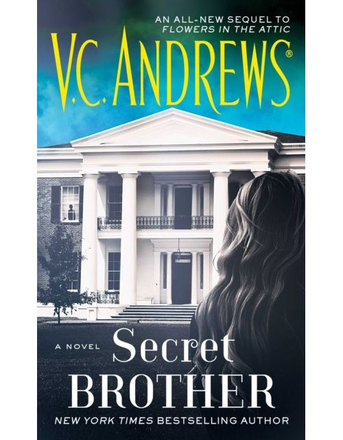 Secret Brother (The Diaries Series Book 3) (English Edition) Format Kindle