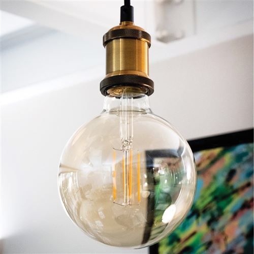 CALEX Glassfiber Ampoule LED E27 à filament décoratif vintage G125 Ampoule  titan 3,8 W Edison à intensité variable Blanc chaud : : Luminaires  et Éclairage