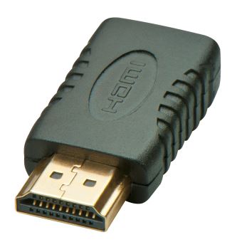 Adaptateur Mini HDMI femelle vers HDMI mâle - Câbles vidéo - Achat & prix