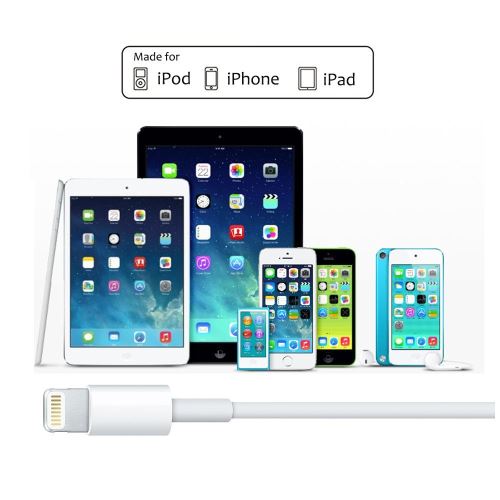 Chargeurs pour Apple iPad Mini 2