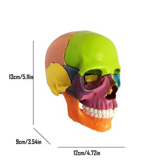 UNFAIR 5 Pièces/Ensemble Dés De Crâne De 18 Mm, Dés Squelette en Résine À 6 Faces, Jeu De Fête De Pub Enfants Jouet Adulte
