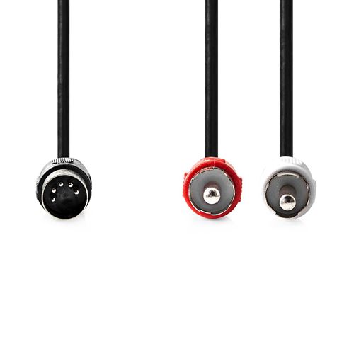 Non Communiqué Noir Câble Audio Din | Nedis | Cagl20200bk10 |