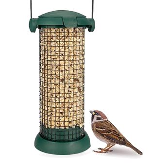 Mangeoire Pour Oiseaux Sauvages Perky-Pet Squirrel-Be-Gone II Green Home Verte