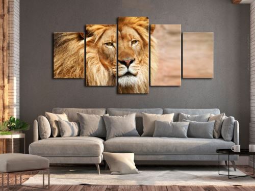 Tableau - The King of Beasts (5 Parts) Wide Orange .Taille : 200x100