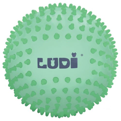 Balle sensorielle Phosphorescente Ludi
