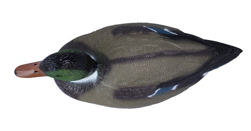 Artecsis Canard colvert male en plastique 35 cm Décoration pour Étang ou Leurre pour la Chasse Figurine pour Jardin 