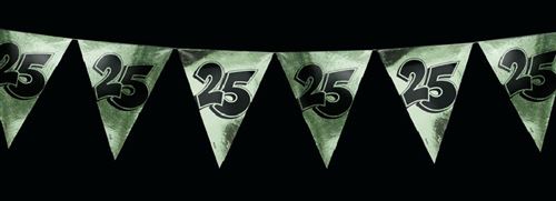 Ligne de drapeau 25 ans argent 4 mètres 5 pièces