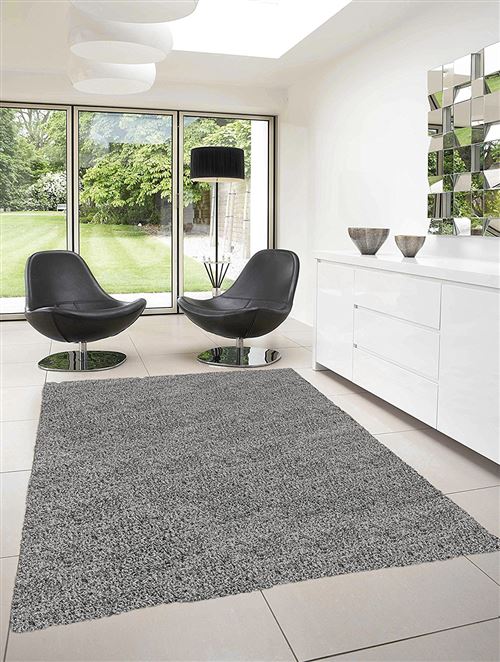 Tapis Dream 80 X 150 4000 Grey Pile : 100 % Pp Heatset /Pile Hauteur : 50 Mm/Poids : 2600 Gr