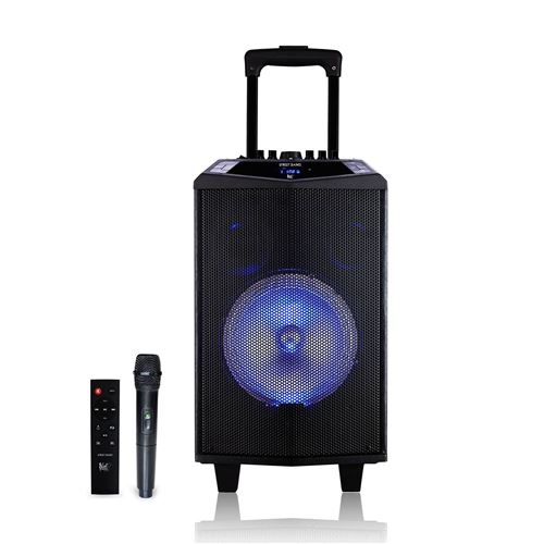 Black Panther City STREET DANCE - Enceinte Sono Mobile Bluetooth/USB/SD 100W + Micro sans fil