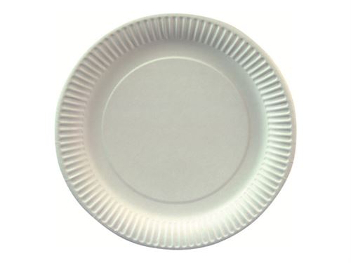 PAPSTAR pure - Assiette - Taille 23 cm - rond - jetable - blanc (pack de 100)