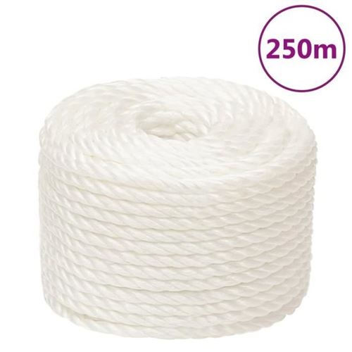 VIDAXL - Corde de travail - 12 mm - 250 m - Blanc - Image 3