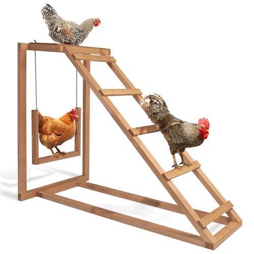 Meilleurs prix pour Aire de jeux en bois pour poules avec balançoire et perchoir