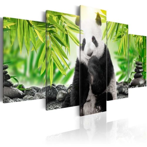 Tableau - Sweet Little Panda .Taille : 100x50