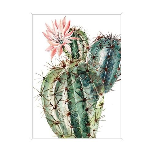 Image encadrée baguette minimaliste Cactus fleur rose - MDF - 51x71 cm - Rose, vert et blanc - Moulure blanc mat 19x19 cm