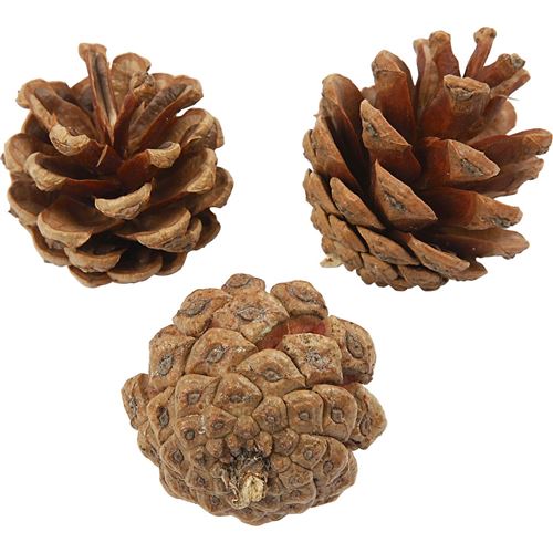Creotime pommes de pin 4 cm 60 pièces marron