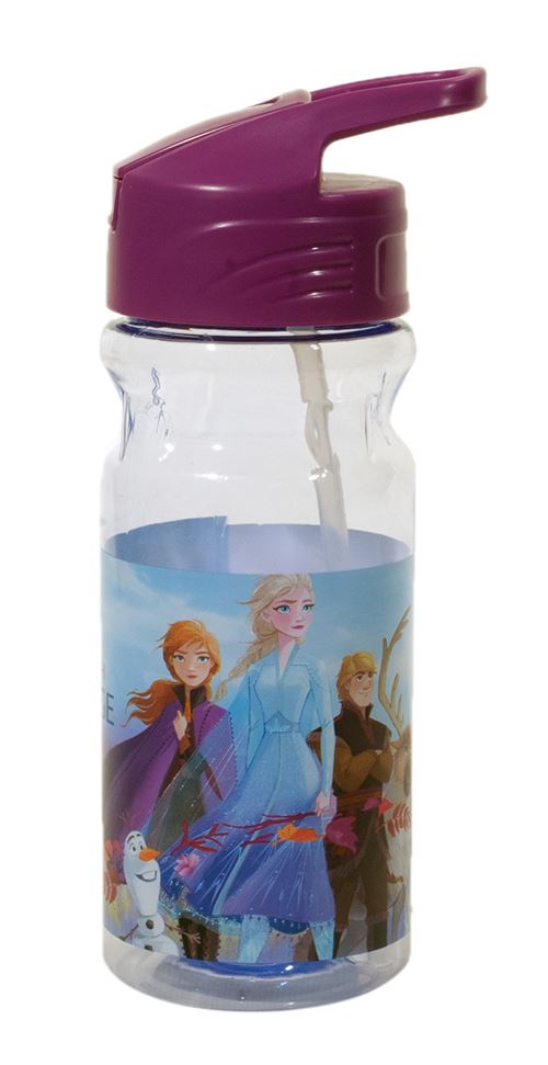 Disney Frozen 2gourde junior 500 ml transparent/violet