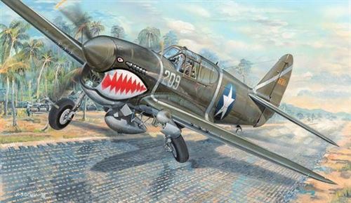 Maquette Avion : P-40f War Hawk-Trumpeter