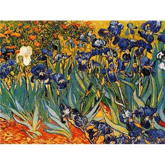 Van gogh iris poster clearance