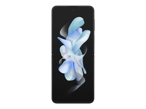 galaxy z flip4 graphite