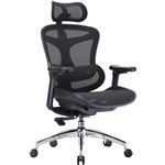 SIHOO Doro C300 Fauteuil de Bureau Ergonomique avec Soutien Lombaire Dynamique,Accoudoirs et Dossier Réglables 3D,Noir