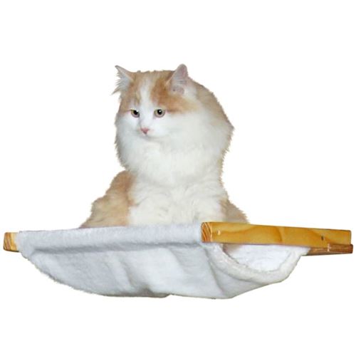 Chat 40 45 Chat 40 45