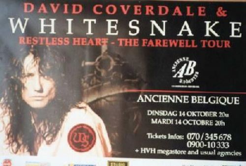 Whitesnake - 70x100 cm - AFFICHE / POSTER