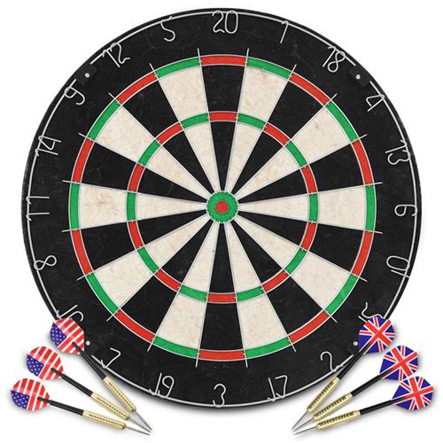 vidaXL Dartbord professioneel met 6 darts sisal