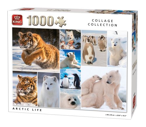 King Puzzle Collage Arctic Life 1000 pièces