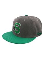 Harry Potter Casquette Hogwarts Slytherin grisNon Applicable