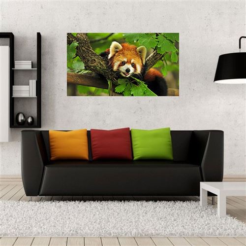 Panda roux - 70 cm