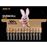 Pack de 12 Piles alcalines Duracell Plus type L0R3 AAA
