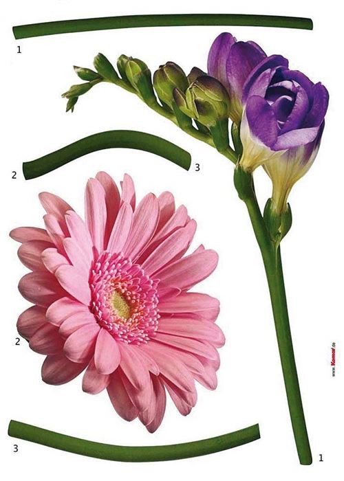 'Komar Deco de Sticker"Fiore, 1 pièce, rose/violet/vert, 18887h