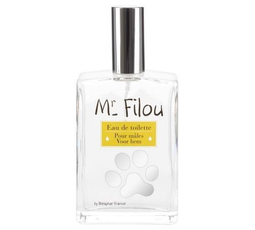 MR FILOU eau de toilette mle