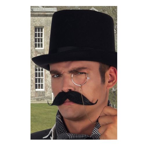 moustache de baron