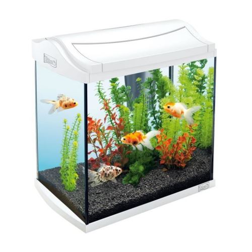 tetra aquarium aquaart - blanc - 30l