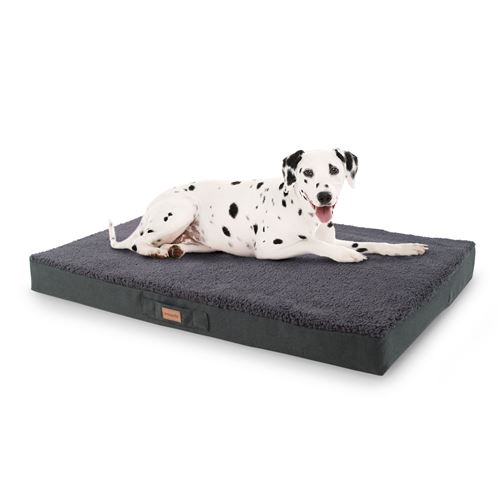 Meilleurs prix pour Panier pour chien - Brunolie Balu - Coussin pour chien - Taille XL (120 x 10 x 72 cm) - Mousse - Gris foncé
